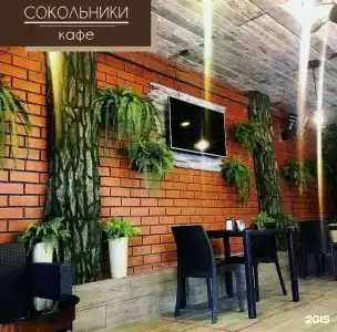 Сокольники - 46
