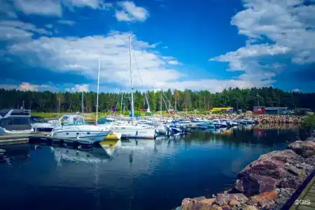 Окуневая - 31