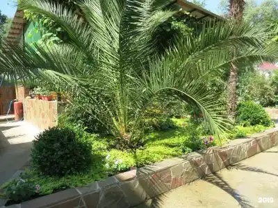 Добрый кит - 16