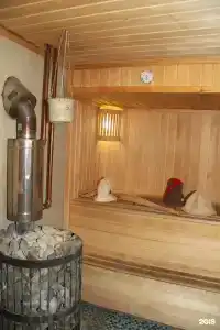 Дворик на Ямской - 10