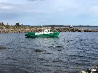 Кедр Грасс Белое Море - 62