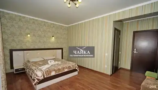 Агава - 31
