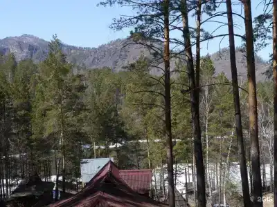 Altai Star - 20