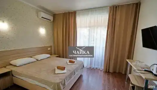 Агава - 33