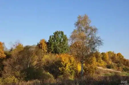 Кудыкина Гора - 25