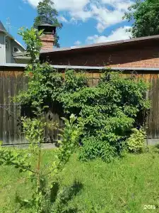 Мещерино - 33