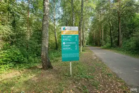 Зеленый Городок - 31