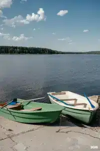 Гринвальд - 12