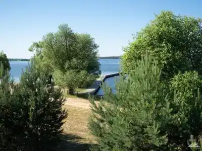 Веточка - 21