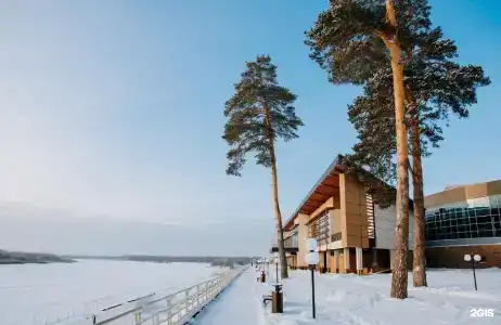 Чайка - 31