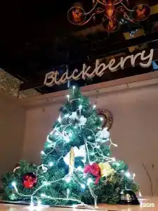 Blackberry - 22