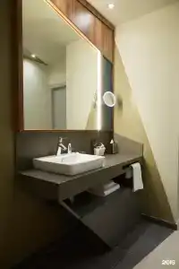 Mercure - 11