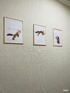 Hostel Fox Хостел - 29
