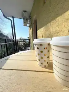 Киви и Цитрус - 55