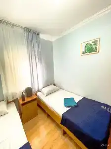 Киви и Цитрус - 62