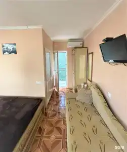 Киви и Цитрус - 23