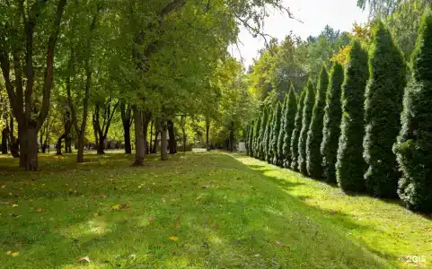 Клязьма - 17