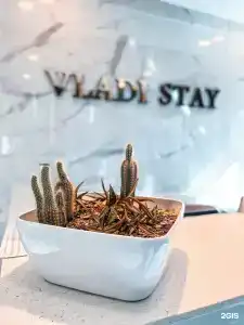 VladiStay - 23