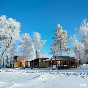Тополя - 12