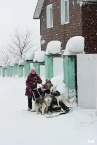 Логово - 2