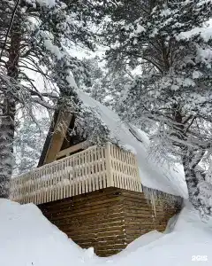 Kogutai Wood Cabin - 77