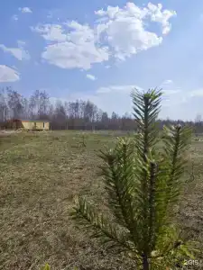 Юнити - 33