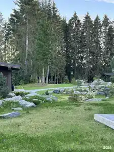 Кружево - 50