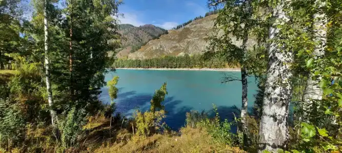 Алтай для Отдыха - 46