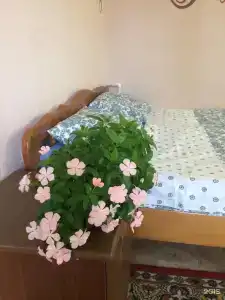 Гортензия - 23