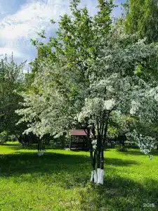 Мечтатели - 16