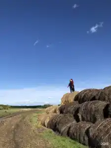 Прибой - 47