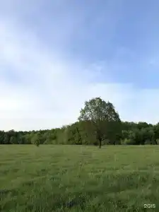 Прибой - 41
