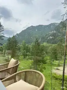 Pinewood resort & SPA - 29