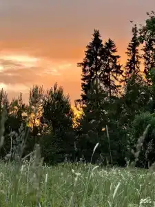 Ладога рядом - 14