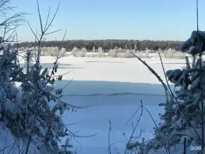 Сосны и река Волга - 32