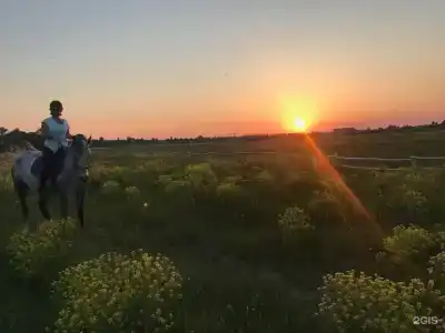 Усадьба Долгорукий - 41