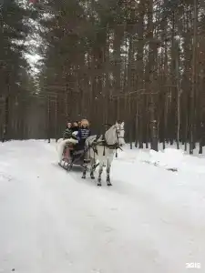 Усадьба Долгорукий - 82