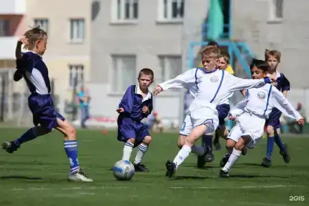 Dinamo - 6