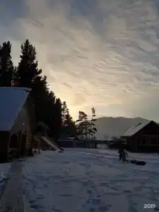 Кедровый - 1