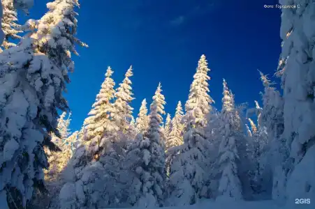 Тюлюк - 6