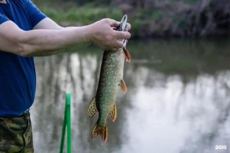 Зеленый Бор - 39