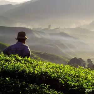 Soloh Spa Village - 47