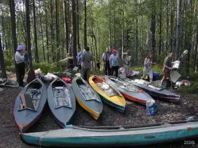 Поляна - 31