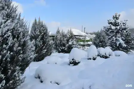 Собер - 32