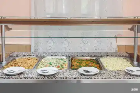 Спутник - 73
