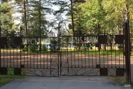 Янисъярви - 100