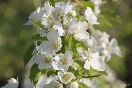 Крылатый - 22