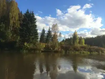 Поляна - 93