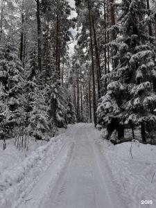 Глэмпинг на Вуоксе - 61