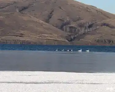 Бунгало Apreski на Банном - 30